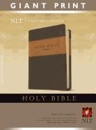 Giant Print Bible-NLT (2ND ed.)